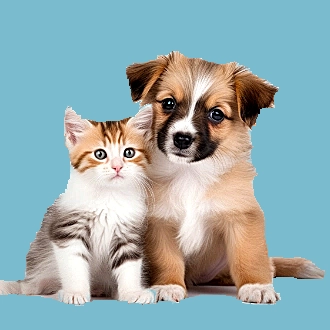 dog-img5