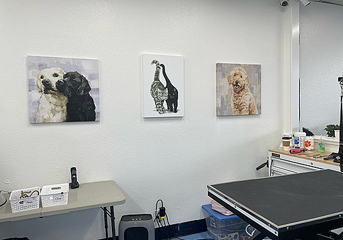 202601121455042_Image-89