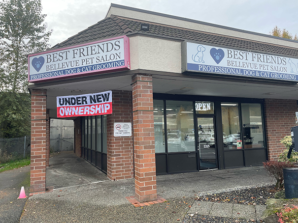 202601121455044_Image-91