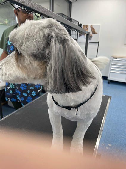 202601121459502_Image-93