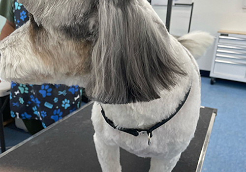 202601121459502_Image-93