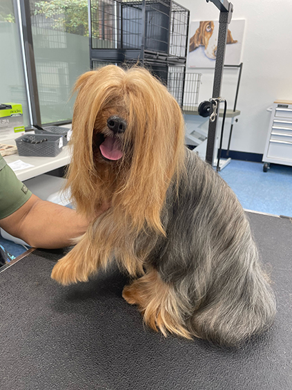 202601121459503_Image-94