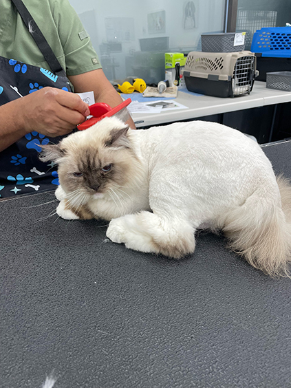 202601121459505_Image-96