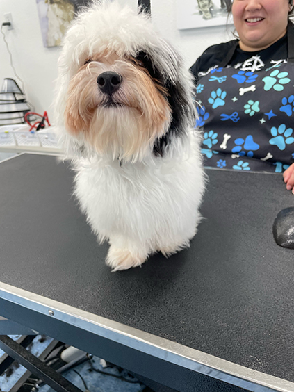 202601121459506_Image-97