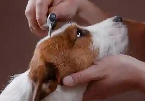 qtq_14_1
